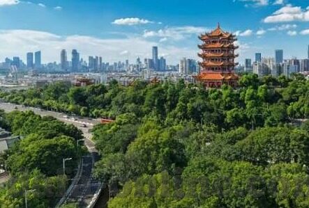310比分直播足球-310比分直播足球，实时追踪，畅享绿茵激情