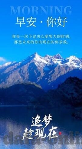 310足球实时比分-310足球实时比分，球迷的心跳加速器，赛场风云的实时见证者
