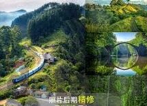 单场足球买比分-单场足球买比分，理性与风险的博弈场