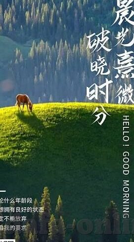 足球比分广告-当绿茵场变成数据战场，足球比分广告背后的流量博弈与用户争夺战