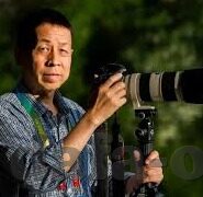 足球比分皇冠官网-足球比分皇冠官网，球迷的实时数据港湾与观赛新体验