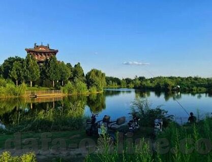 足球比分新闻资讯-足球比分新闻资讯，绿茵场上的数字交响曲